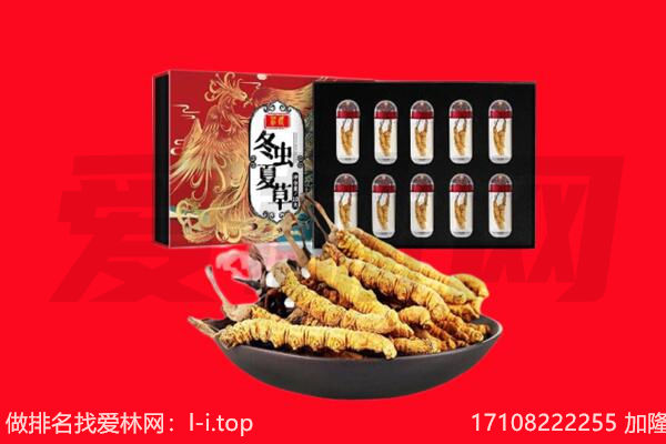 孟州市回收虫草.jpg